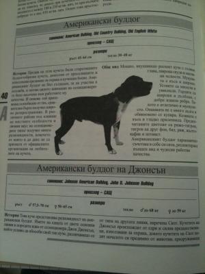 Прикачена снимка