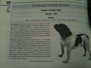 Прикачена снимка