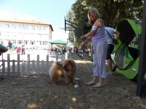 Прикачена снимка