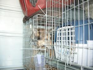 Прикачена снимка