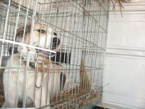 Прикачена снимка