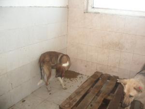 Прикачена снимка