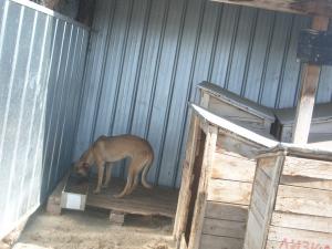Прикачена снимка
