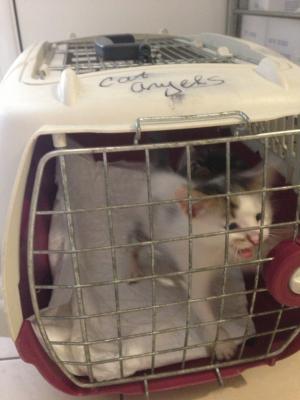 Прикачена снимка