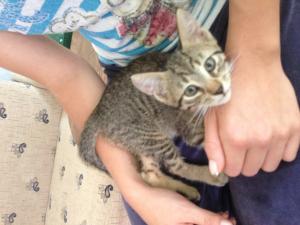 Прикачена снимка