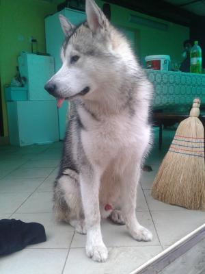 Прикачена снимка