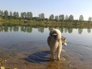 Прикачена снимка