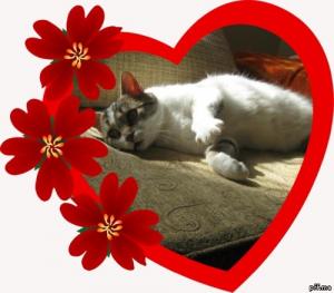 Прикачена снимка