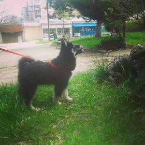 Прикачена снимка