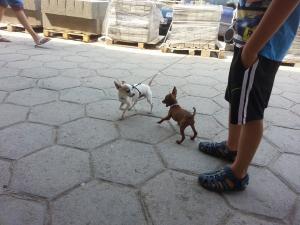 Прикачена снимка