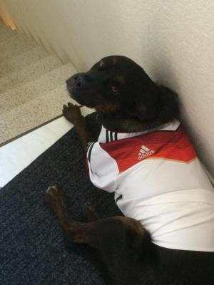 Прикачена снимка