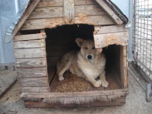 Прикачена снимка