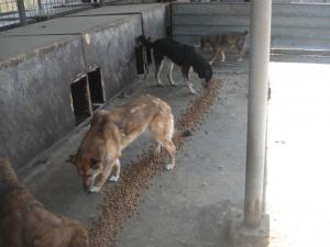 Прикачена снимка