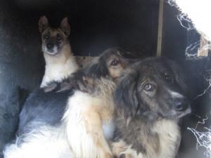 Прикачена снимка