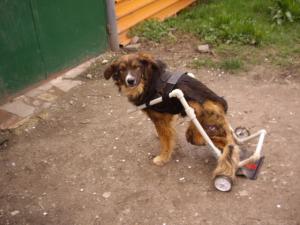 Прикачена снимка