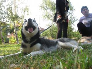 Прикачена снимка