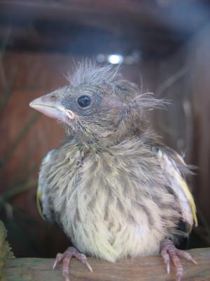 Прикачена снимка