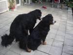Прикачена снимка