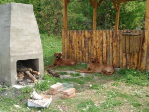 Прикачена снимка