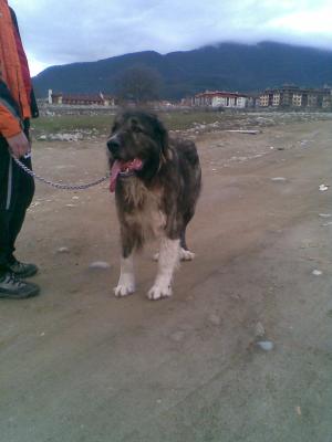 Прикачена снимка