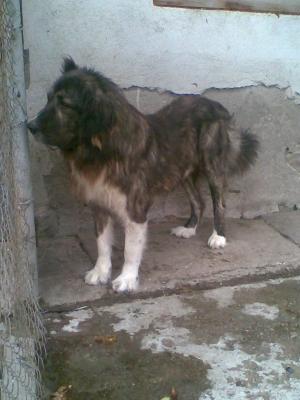 Прикачена снимка