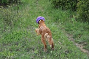 Прикачена снимка