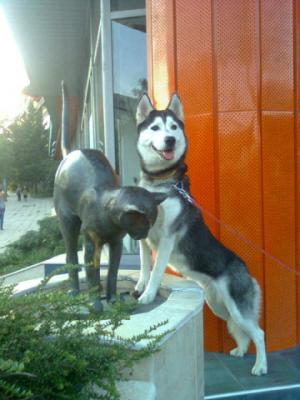 Прикачена снимка