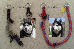 Прикачена снимка