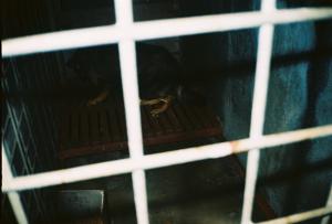 Прикачена снимка
