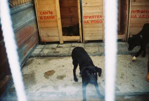 Прикачена снимка