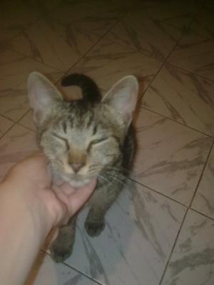 Прикачена снимка