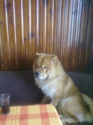 Прикачена снимка