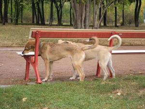 Прикачена снимка