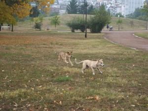 Прикачена снимка