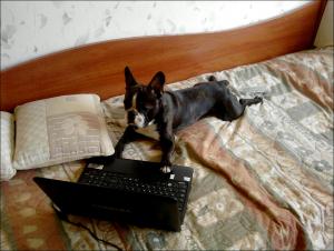 Прикачена снимка