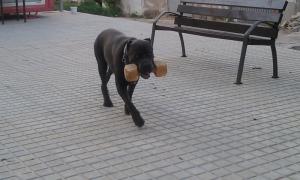 Прикачена снимка