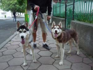 Прикачена снимка