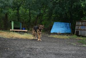 Прикачена снимка