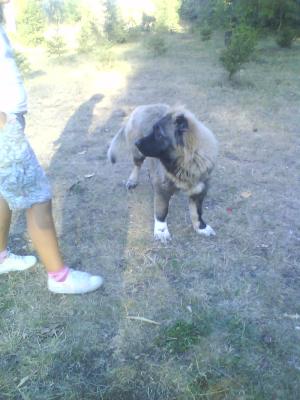 Прикачена снимка