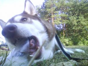 Прикачена снимка