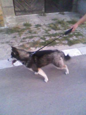 Прикачена снимка