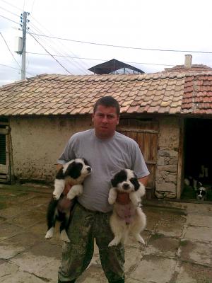 Прикачена снимка
