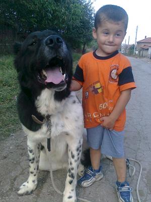 Прикачена снимка