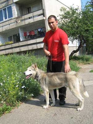 Прикачена снимка
