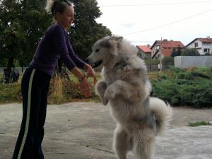 Прикачена снимка