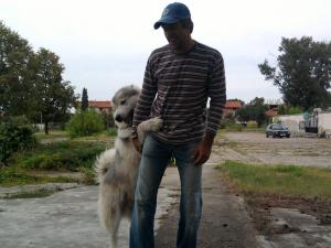 Прикачена снимка