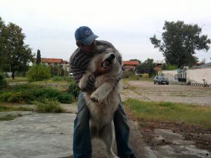 Прикачена снимка