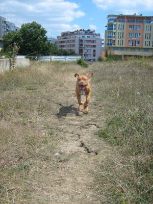 Прикачена снимка