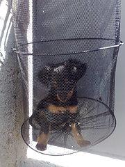 Прикачена снимка