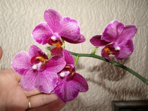 Прикачена снимка